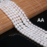 Freshwater Pearl Rice Beads for Jewelry Making DIY