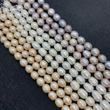 Natural Freshwater Pearls 3-12mm Bracelet Beads for Jewelry, DIY Spacer Beads