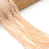 2.5-3mm Freshwater Pearls Bead for Jewelry Making DIY