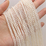 2.5-3mm Freshwater Pearls Bead for Jewelry Making DIY