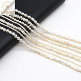Freshwater Pearls Beaded Irregular Shape Loose Spacer Beads for Jewelry Making