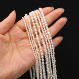 Freshwater Pearls Beaded Irregular Shape Loose Spacer Beads for Jewelry Making