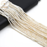 Freshwater Pearls Beaded Oval Spacer Beads for Jewelry Making
