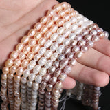 Freshwater Pearls Beaded Loose Spacer Beads 4-8mm