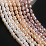 Freshwater Pearls Beaded Loose Spacer Beads 4-8mm