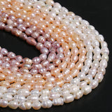 Freshwater Pearls Beaded Loose Spacer Beads 4-8mm
