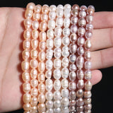 Freshwater Pearls Beaded Loose Spacer Beads 4-8mm