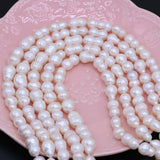 Freshwater Pearls Beaded Spacer Loose Beads for Jewelry Making DIY