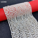 High-Quality Natural Freshwater Pearls Beads for DIY Jewelry Making