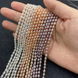 Authentic Freshwater Pearl Beads for Jewelry Making