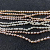 Authentic Freshwater Pearl Beads for Jewelry Making