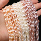 Freshwater Pearls Beads 2.5-3mm Rice Shape Loose Pearl for Jewelry Making