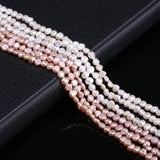 Natural Freshwater Pearls Beads 3mm-4mm Loose Beads for Jewelry Making
