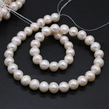 Natural Freshwater Pearl Beads Round Spacer Pearls for Jewelry Making DIY