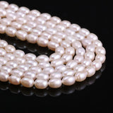 Natural Freshwater Rice-shape Pearl Loose Beads 36 Cm for DIY Jewelry