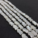 Natural Shell Animal-shaped Beads for Jewelry Making