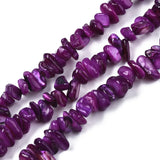 Colorful Freshwater Shell Bead Strands DIY Bracelet