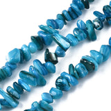 Colorful Freshwater Shell Bead Strands DIY Bracelet
