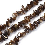 Colorful Freshwater Shell Bead Strands DIY Bracelet
