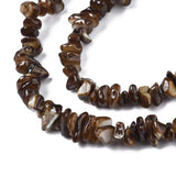 Colorful Freshwater Shell Bead Strands DIY Bracelet