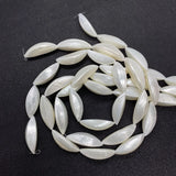 Freshwater Shell Beads Charms Jewelry DIY Earrings Necklace Bracelets