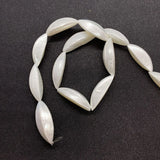 Freshwater Shell Beads Charms Jewelry DIY Earrings Necklace Bracelets