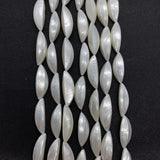 Freshwater Shell Beads Charms Jewelry DIY Earrings Necklace Bracelets