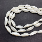 Freshwater Shell Beads Charms Jewelry DIY Earrings Necklace Bracelets