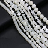 Natural Freshwater Shell Beads Spacer Beads for Jewelry Making DIY