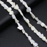 Natural Freshwater Shell Beads Spacer Beads for Jewelry Making DIY