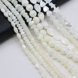 Natural Freshwater Shell Beads Spacer Beads for Jewelry Making DIY