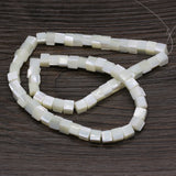 Natural Freshwater Shell Beads for Jewelry Making DIY