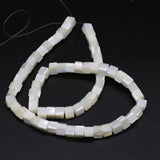 Natural Freshwater Shell Beads for Jewelry Making DIY