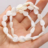 Natural Freshwater Shell Beads Assorted Shapes Loose Beads