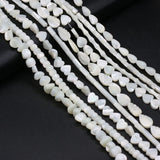 Natural Freshwater Shell Beads Assorted Shapes Loose Beads