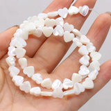 Natural Freshwater Shell Beads Assorted Shapes Loose Beads