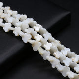 Freshwater Shell Butterfly Beads Mother of Pearl Spacer for Jewelry Making
