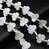 Freshwater Shell Butterfly Beads Mother of Pearl Spacer for Jewelry Making