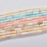 Natural Freshwater Shell Tube Bead Straight Hole DIY Jewelry Material