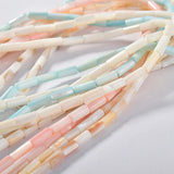 Natural Freshwater Shell Tube Bead Straight Hole DIY Jewelry Material