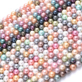 Shell Pearls Beads Round Loose Spacer Beads for Jewelry Making DIY 15''