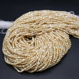 Freshwater Shells Beaded Round Charms Isolation Loose Beads