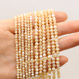 Freshwater Shells Beaded Round Charms Isolation Loose Beads