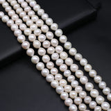 Freshwater Pearl Beaded Accessories for Jewelry Making DIY Bracelet Necklace