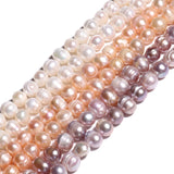 Natural Pink Purple Pearl High Oval Shape Loose Beads