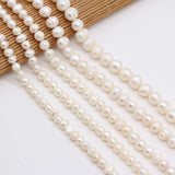 Natural Freshwater Pearl Charm DIY Jewelry Making