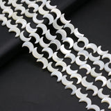 Natural Freshwater Shell Beads Moon Shape for DIY Jewelry Making