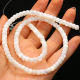 Shell Circle Beads for DIY Jewelry Making - High Gift