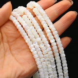 Shell Circle Beads for DIY Jewelry Making - High Gift