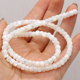 Shell Circle Beads for DIY Jewelry Making - High Gift